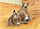 Donkey and Mule Art - Mom and Me